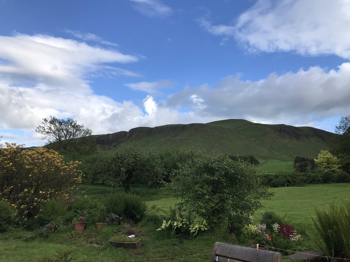 Becki Reay tweet media