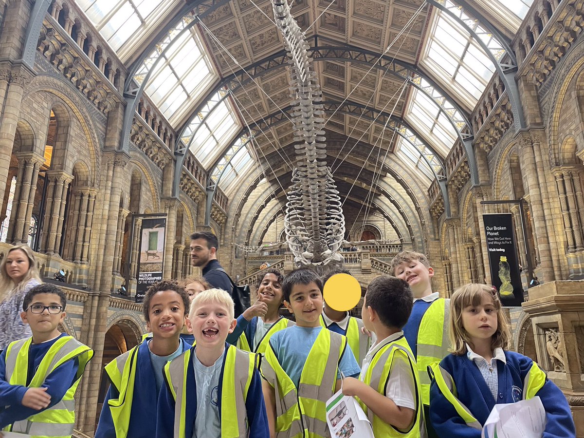 MissTaylor2W's tweet photo. Year 2 had a wonderful time at the Natural History Museum last week. Look at some of the incredible things we saw! @ShacklewellE8 https://t.co/mwchSLutRF