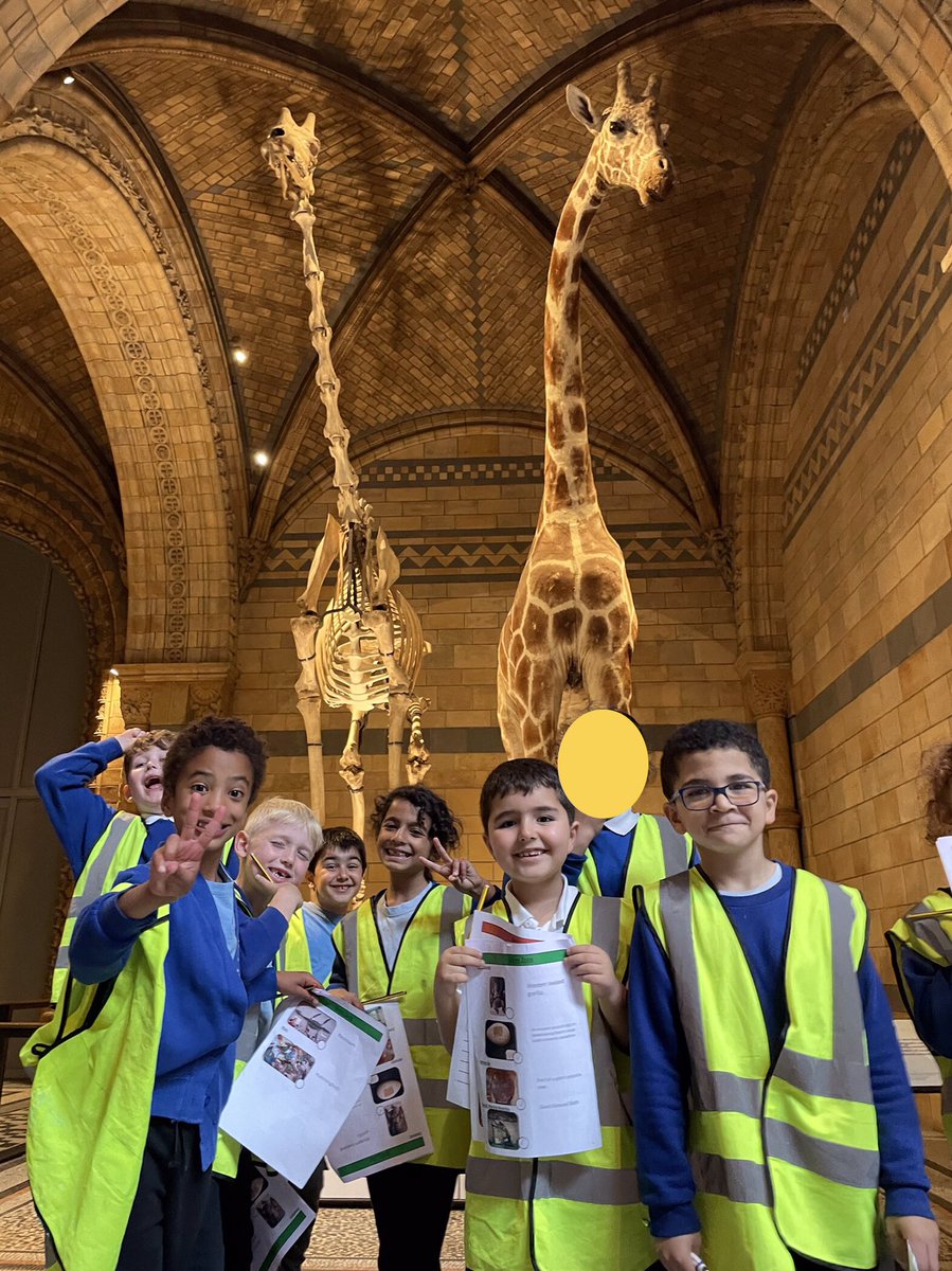 MissTaylor2W's tweet photo. Year 2 had a wonderful time at the Natural History Museum last week. Look at some of the incredible things we saw! @ShacklewellE8 https://t.co/mwchSLutRF