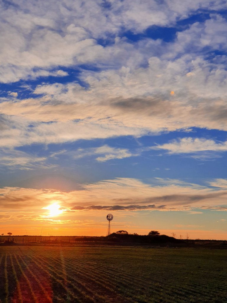 Un dia sin querer le saque una foto a la bandera pintada en el cielo. 
Ansio pisarte de nuevo 🇦🇷