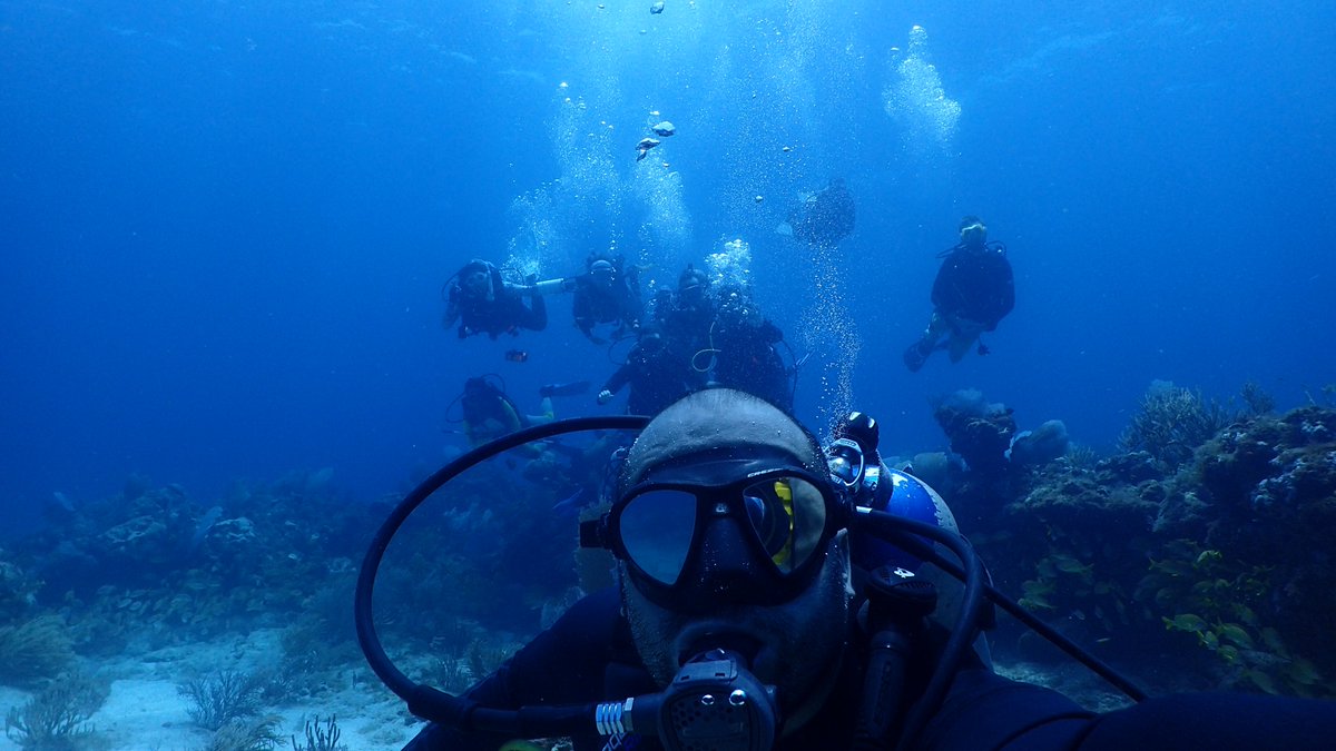 LAlvarezFilip's tweet photo. We have completed our second #ReefBudget workshop successfully. We learned and discussed the theory and field methods to assess the production and erosion of carbonates on tropical reefs. With Chris Perry @extermarine and more than 30 managers and scientists @IcmlUnam @CONANP_mx https://t.co/jmpjhhtQZ9