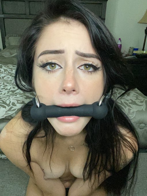 Should I make more content like this? https://t.co/t5w3LE7gTF