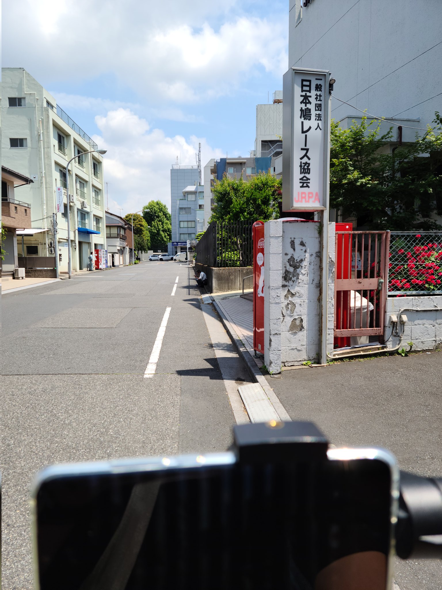 さんちゃん さんぽちゃんねる 散歩中 鳩レース協会をはっけーん 鳩レース協会 ウォーキング 散歩ログ ダイエット 主観視点 Fpp 徘徊 作業用 街の音 夜間徘徊 夜の街 散歩気分 おうちさんぽ T Co Yrq0hqq55p Twitter
