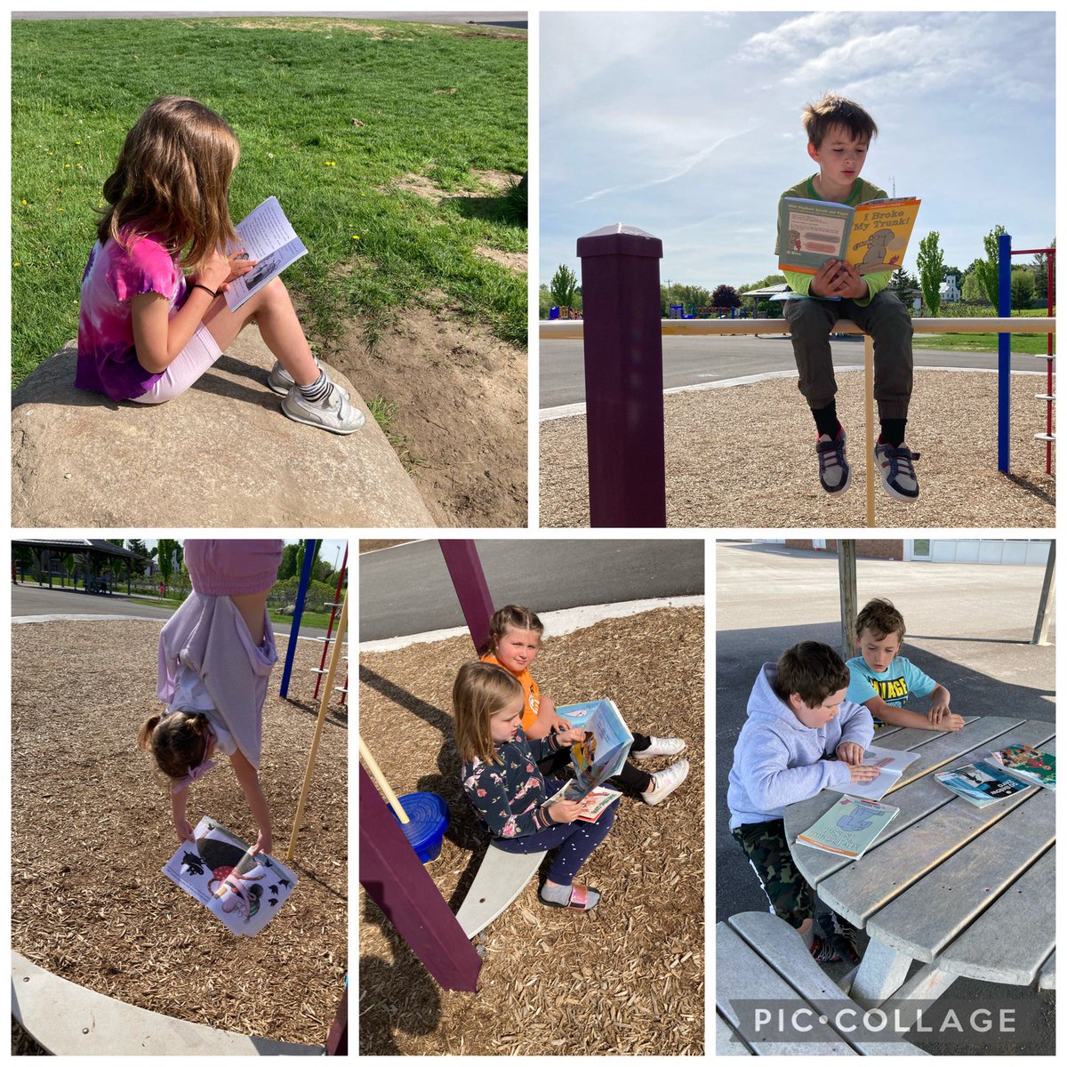 mcgrathatbath's tweet photo. Started our day reading outside today! https://t.co/qRSguFBQOe