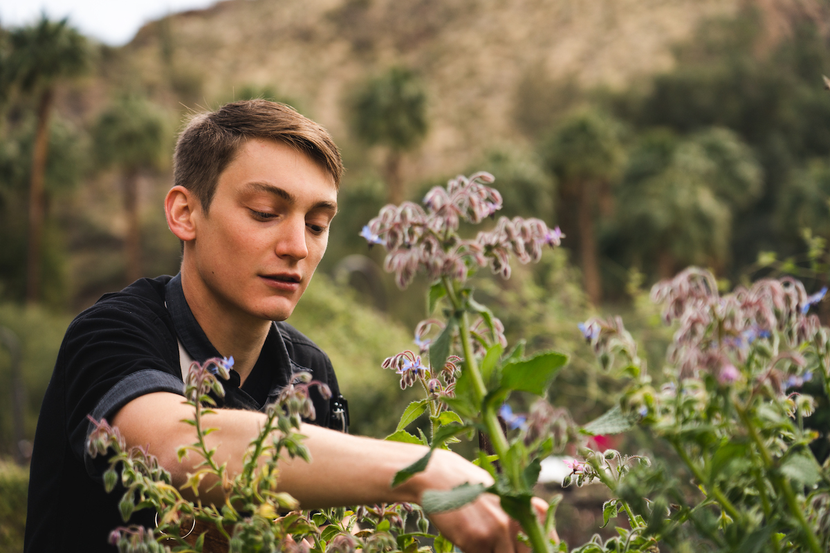 There are many summer dishes to enjoy on your next visit to <a href="/CastleHotSpring/">Castle Hot Springs</a>, or you can try their Cucumber Gazpacho #recipe from the comfort of home. <a href="/ArizonaTourism/">Visit Arizona</a> 

Recipe here: castlehotsprings.com/blog/recipes-f…