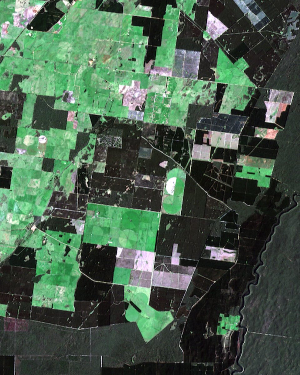 SKYLAB Precision Forestry (@skylab_forestry) / Posts / X