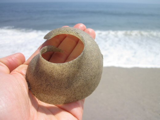 AlgaeBarn's tweet photo. What the Heck are Those? 𝐌𝐨𝐨𝐧 𝐒𝐧𝐚𝐢𝐥 𝐂𝐚𝐬𝐢𝐧𝐠𝐬 

https://t.co/YPz3h54jgo 

Moon snails are univalve gastropods in the family Naticidae which is composed of predatory marine snails and mollusks"

#snail #moonsnail #tidepool #beach #ocean #snails #sand https://t.co/5Zw01QcoEV