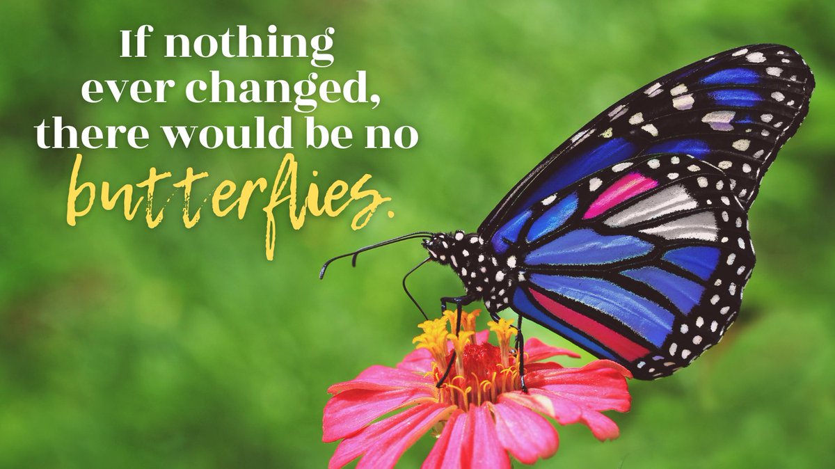 Happy #WisdomWednesday!