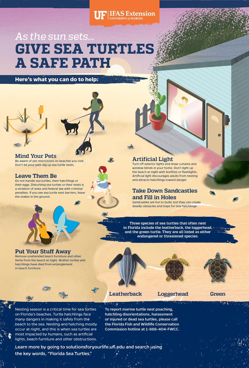 Great reminders for nesting season from our friends <a href="/UF_IFAS/">UF IFAS Solutions</a>!