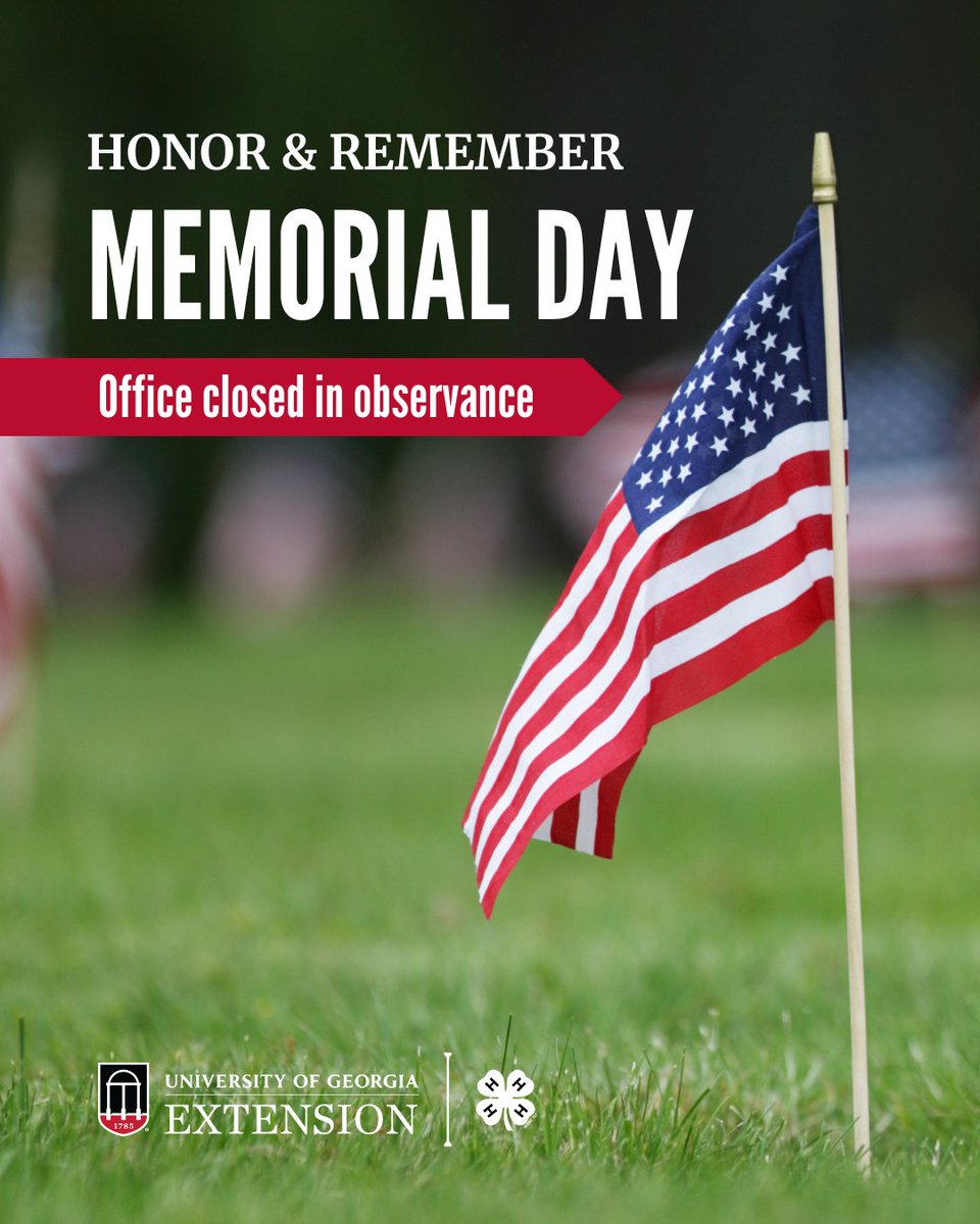 UGA AESL (@uga_aesl) on Twitter photo 