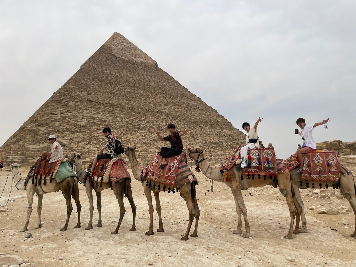 蛹(さなぎ) tweet media