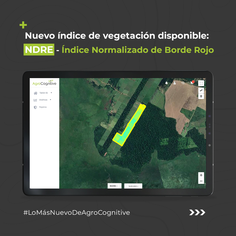 agrocognitive's tweet photo. Buenas noticias para nuestros suscriptores🧑‍🌾. Ya se encuentra disponible en nuestra plataforma #AgroCognitive el índice de vegetación NDRE - Índice Normalizado de Borde Rojo.

En el hilo explicamos para qué sirve y cuando utilizarlo⤵️. Pruébalo en https://t.co/VIHX49nb00 https://t.co/yAq6b5JYQh