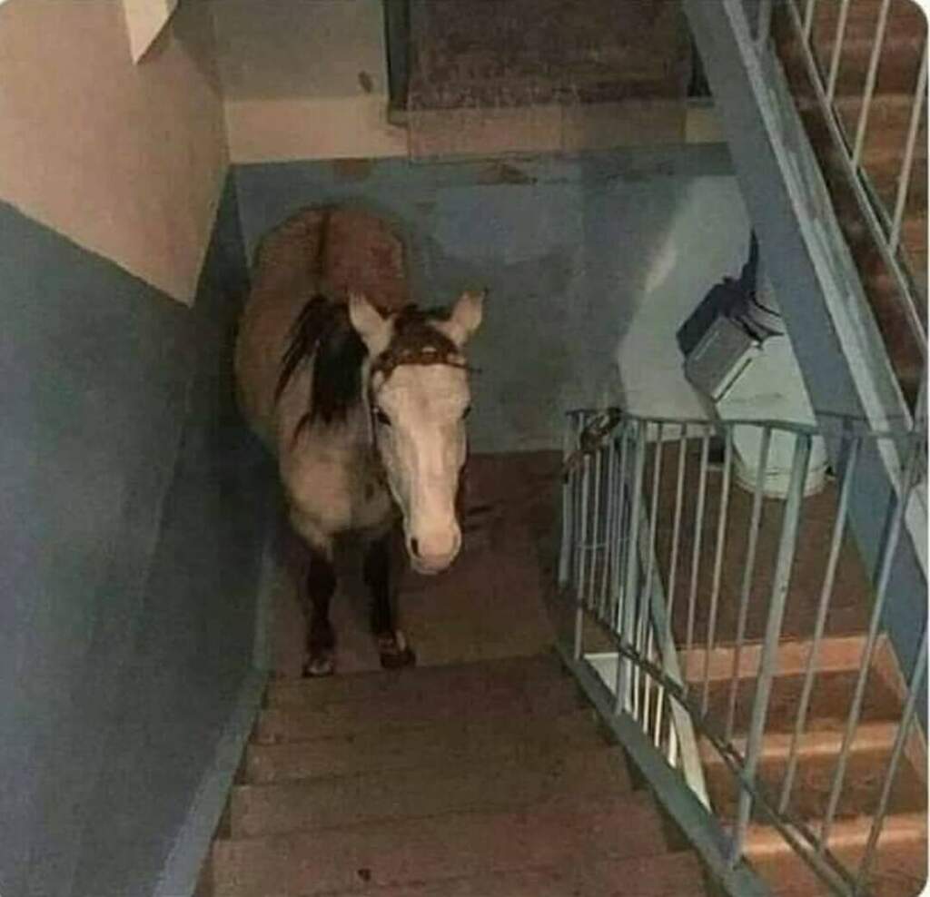 володя иди на хуй она меня любит!