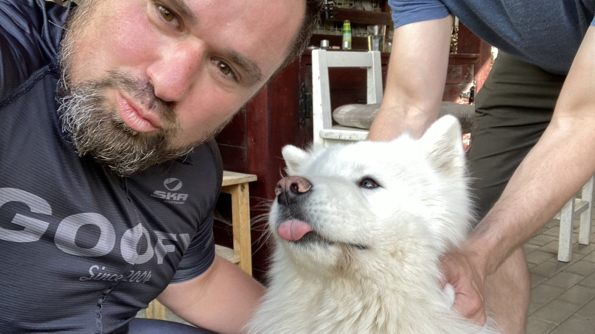 Capper_14's tweet photo. To je pes tohleto. #samojed nádherná rasa 😊👌 https://t.co/LgLpO4g5Es