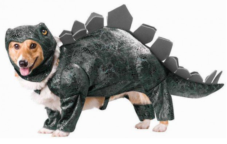 This is the only photo needed to explain stegonography.