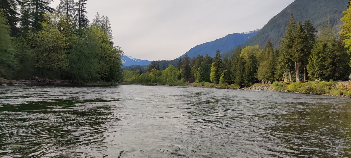 santo_nicko's tweet photo. Wrapped up my vacation to Baring, WA. Just a reminder to take time off and relax once in a while. Celebrate your successes, and build out your team and systems so you can be confident things will run smoothly while away.
#TakeTimeOff
#UseYourVacation
#UseYourPTO https://t.co/QFEPA308Rm