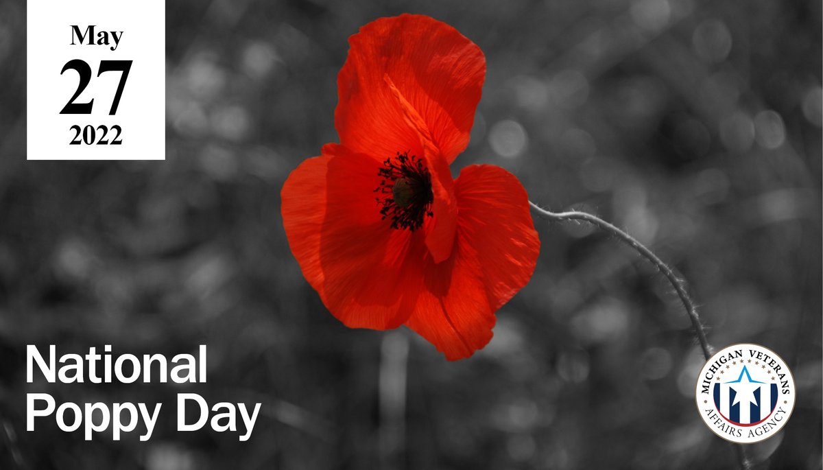 Michigan Veterans Affairs Agency tweet media