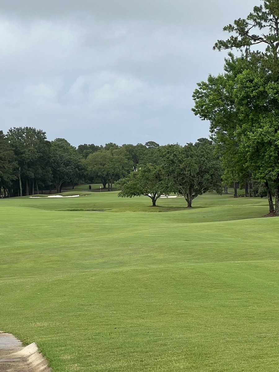 back9boys's tweet photo. Azalea course at Lakewood GC in Fairhope AL @RTJGolf @back9boys @back9boysgolf @ESPNCoastal @RSMUSLLP @MizunoGolfNA @clubcar @bridgestonegolf @LetsGolfTravel @GolfNewsNet #golfalabama https://t.co/qFbtn5BpFb