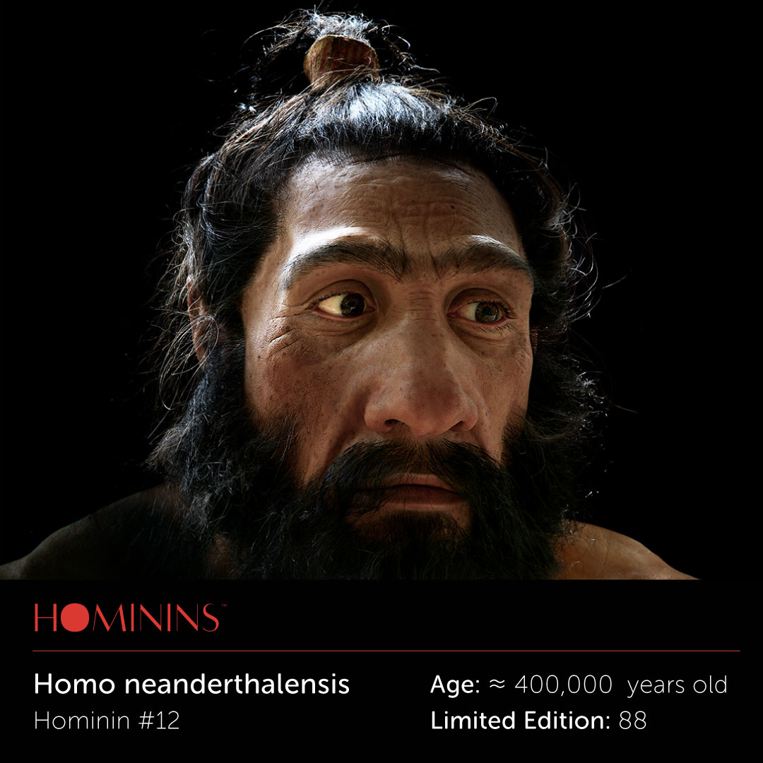 This was one tough cookie: short and thickly-built, he lived in cold climates and hunted large mammals at close range. linktr.ee/tidhnft
#tidhnft #tid #hnft #historicalnft #hominins #johngurche #opensea #historicalart #thefutureofthepast #nft #nftcollectors