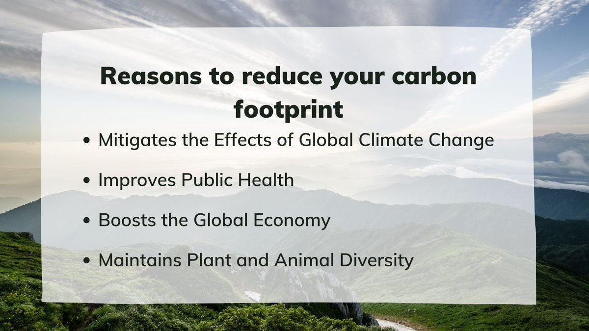 The Climate Venture Collective tweet media