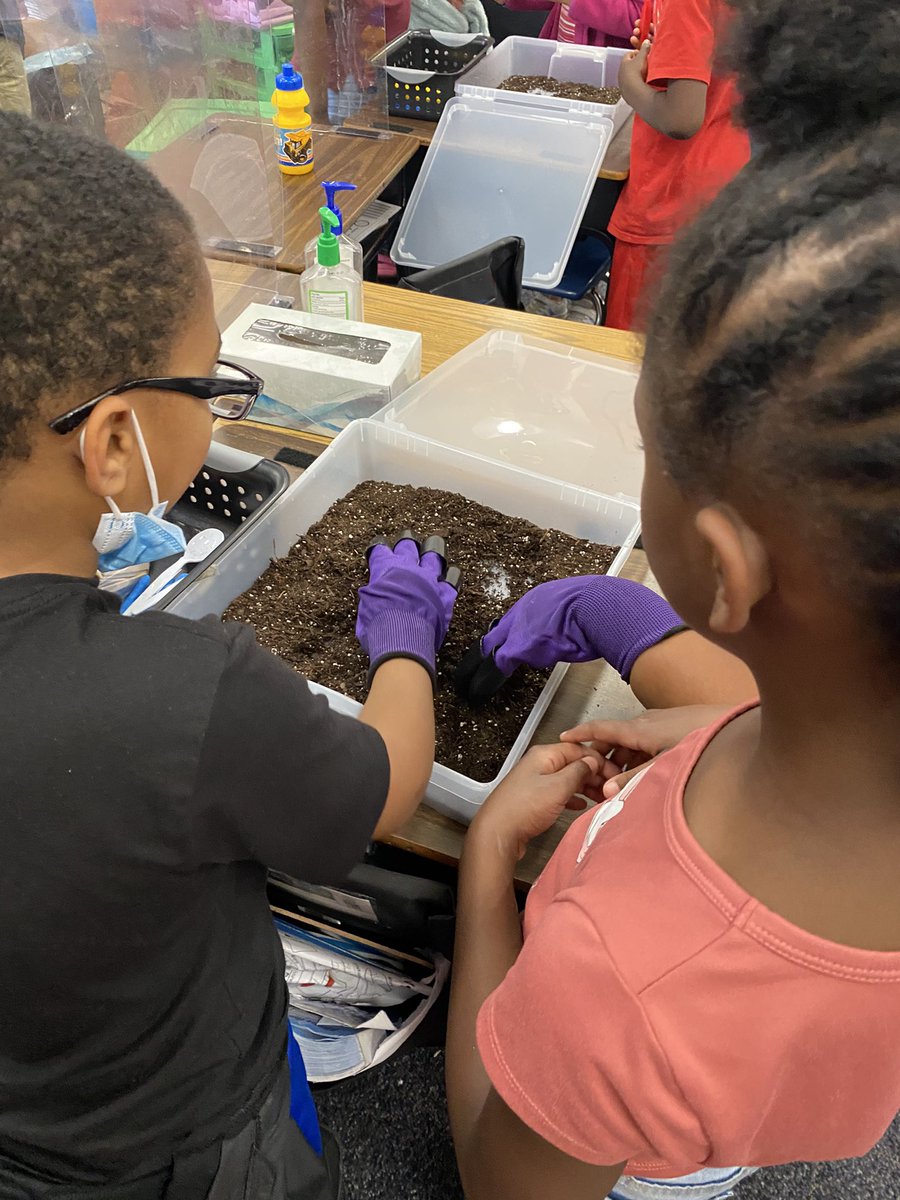 STEAMM Med Pro21 tweet media