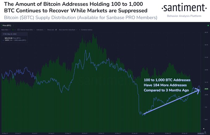 $3,910,000,000 Bitcoin Whale Enters Massive BTC Accumulation Mode Amid Crypto Bounce PlatoBlockchain Data Intelligence. Vertical Search. Ai.