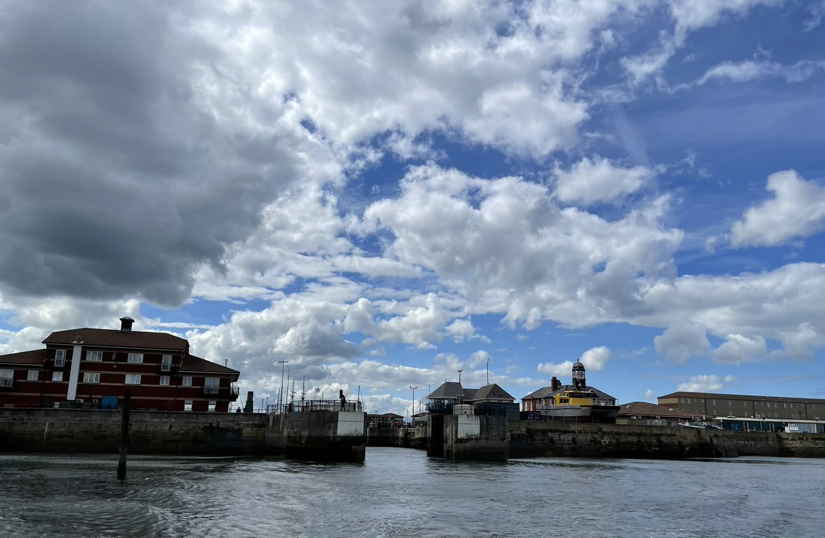 denise mcguckin tweet media