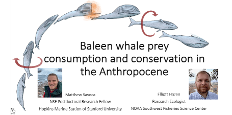 UCSC_Fisheries's tweet photo. FCP’s @elhazen presented 2 talks recently on how dynamic management can adapt to changing environmental conditions. One is titled, Baleen Whale Prey Consumption and Conservation in the Anthropocene. #NOAAFisheries #SWFSC 

Watch the recording here: https://t.co/L2e24tumqX https://t.co/49WQ5TiSI4