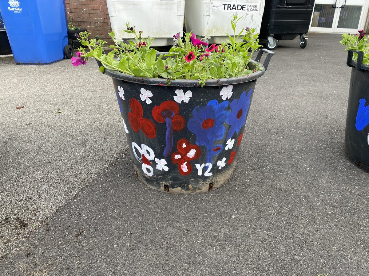 MrsOBrienStAug's tweet photo. St Augustineβs in bloom for the jubilee β€οΈπ€β€οΈπ€πΊπͺ΄π±@MrsGuest4 @staugustine_p #staugscience https://t.co/U9zZXgyymt