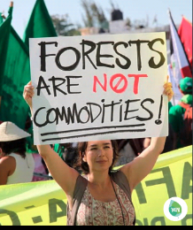 EFinitiative tweet media