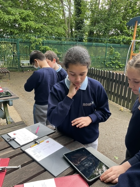 Botanic Primary tweet media