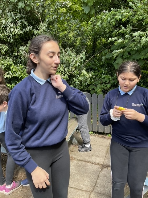 Botanic Primary tweet media