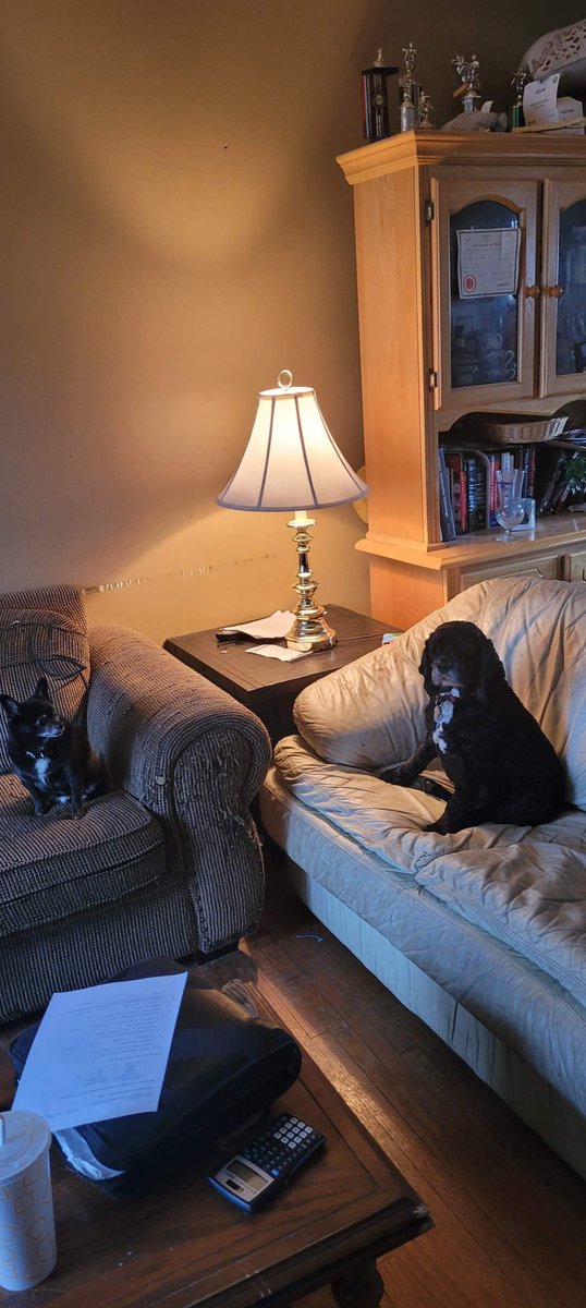 Fluke my fun boarding with my doggie Peanut Boss! They are gossiping about us humans! Lol