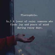 UWMSTP's tweet photo. #pluviophile #SpringInMadison https://t.co/pfedj4b3r2
