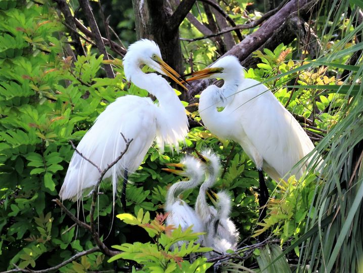 Cynde Baumann (@cyndebaumann) on Twitter photo 