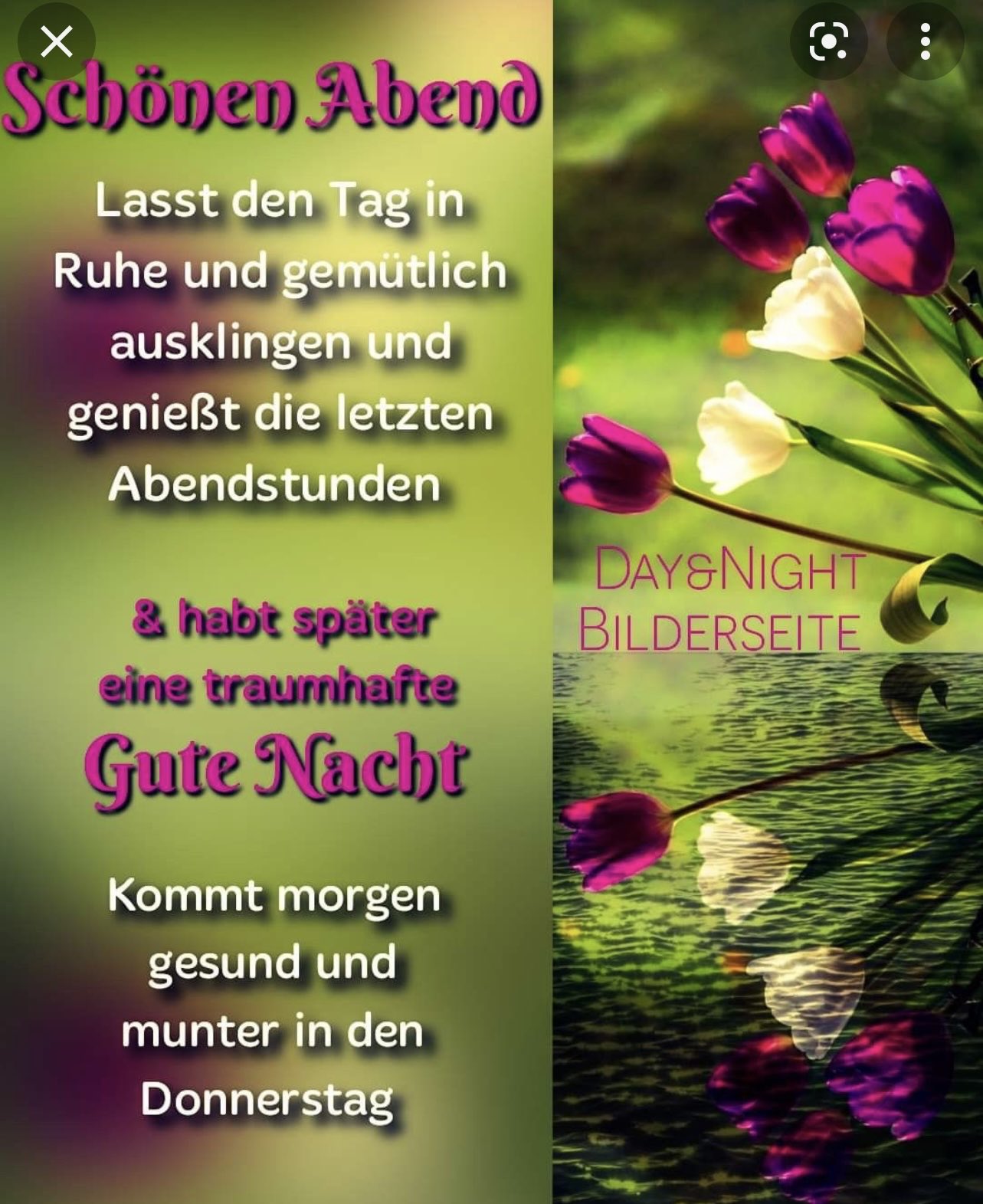 Klaudia on X: RT @Heike891: Wünsche euch meine Herzmenschen noch einen  schönen Abend 🌇 und später eine gute Nacht 😘 t.coYD7BbZgqQB  X