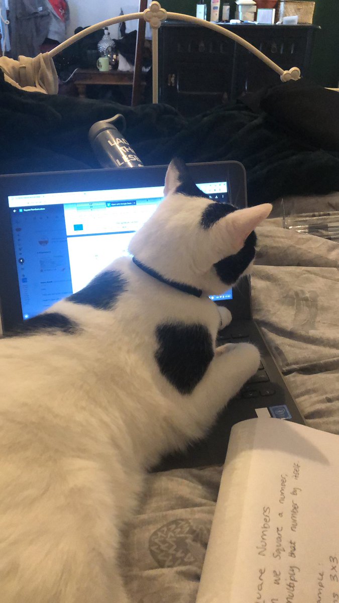 BoothStorm's tweet photo. It’s a no from Albie for Maths revision https://t.co/KAM4h8eCo1