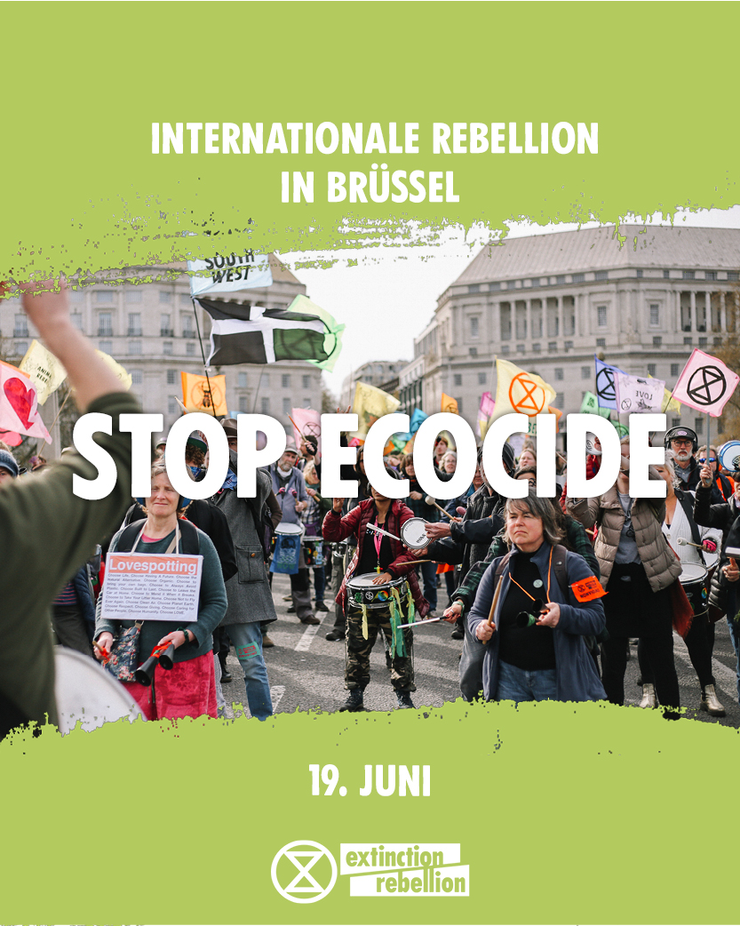 Extinction Rebellion Graz tweet media