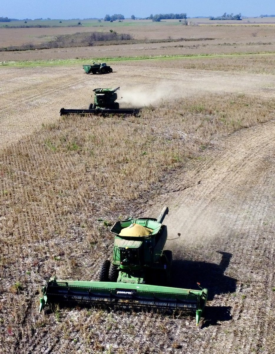 DiegoDiegosmo's tweet photo. Una zafra que va finalizando y otra que arrancó a tomar forma 🌱21 🌾22 https://t.co/bb8gBiUAvQ