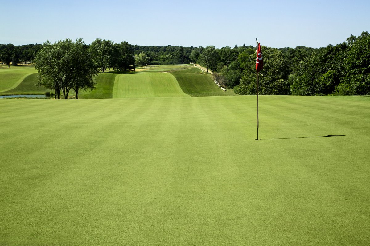 T2GBentgrass's tweet photo. PC2.0 is a bentgrass variety that is a continuation of our past's legacy and our desire to be continually innovative. Learn more about how PC2.0 can help take away some of that turf stress: https://t.co/LbNR3ul7oL https://t.co/YTAyg1LXBR