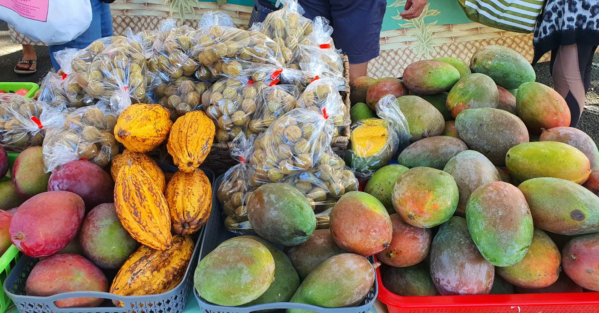VirtualGlobeT's tweet photo. Hawaii Kaka'ako Farmers Weekend Market  하와이 호놀룰루 카카아코 파머스 마켓 주말 시장

https://t.co/pkWvW6WrJH

#hawaii,#honolulu,#kakaako,#market,#farmer,#weekend,#fresh,#produce,#walk,#saturday

#하와이,#호놀룰루,#파머스,#카카아코,#시장,#마켓,#전통,#농장,#시장, #주말,#토요일 https://t.co/zsHQlytOG5