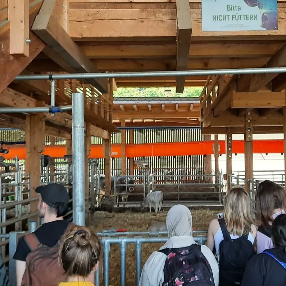 gutes_essen_'s tweet photo. Diese Fotos entstanden bei einer Exkursion zum Grottenhof, einer Fachschule für Land- und Forstwirtschaft. 🐄🌳🐑
 
#Landwirtschaft #Nachhaltigkeit #ourfoodourfuture #DEARprogramme https://t.co/LOvPyFHglc