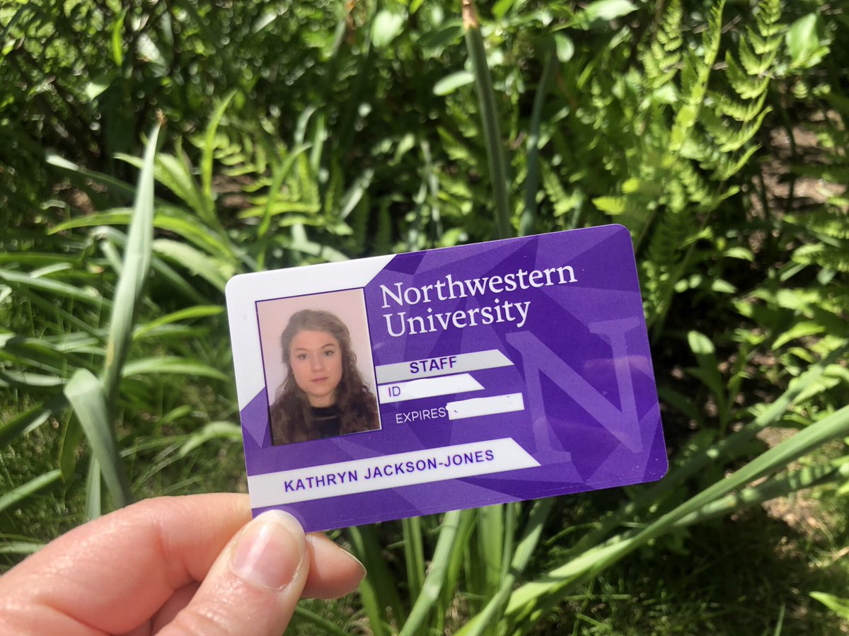 Dr Kathryn Jackson-Jones tweet media