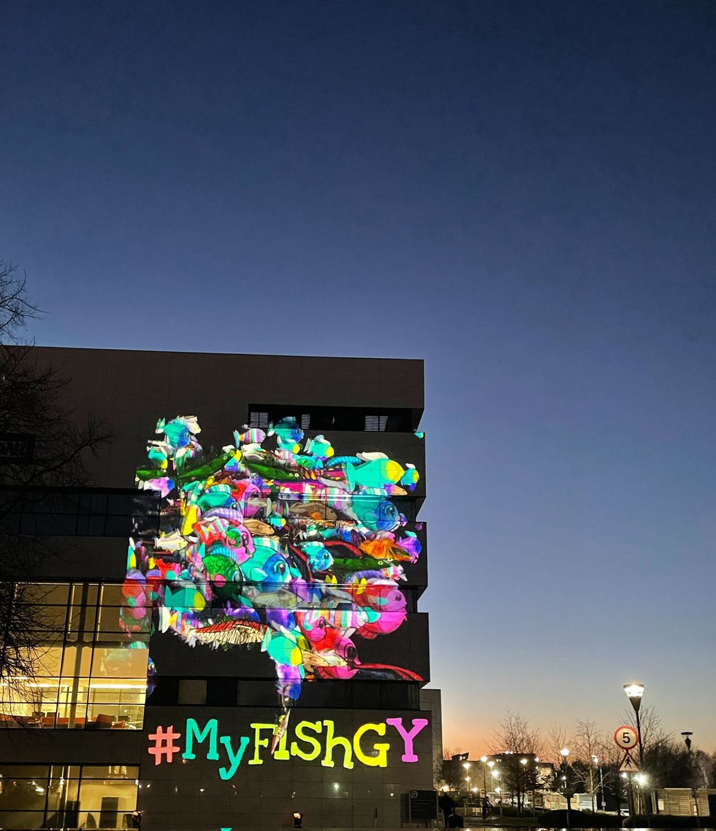 #MyFishGY tweet media