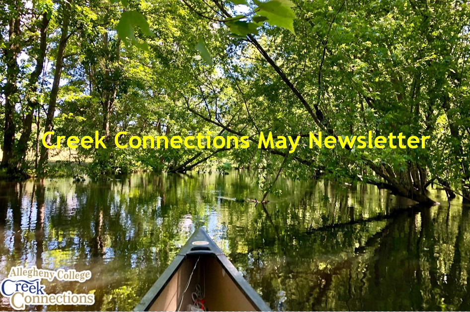 Creek Connections tweet media