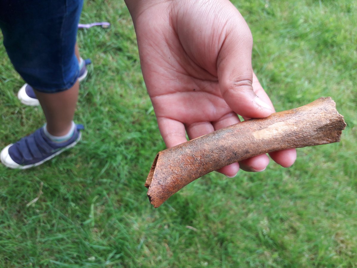 ExploreThePast's tweet photo. Thanks to everyone who made Badsey's Big Dig possible!

Highlights from the weekend inc possible tessera (Roman mosaic pieces), early medieval pot and - our personal favourite - an old Guides badge ♣️ found by the Scouts. We'll share more as the story unravels #SmallPitsBigIdeas https://t.co/ahCt1x3ymz