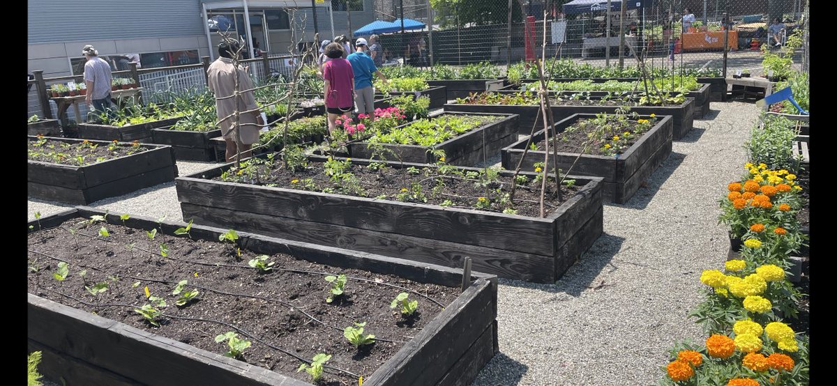 mayorsCAU's tweet photo. .@mayorsCAU had the opportunity to join Emma Pollack and the amazing team @RNHtweet for their 2022 Riverdale Neighborhood House Community Day. They have a beautiful garden that all are welcome to visit! 🌱 https://t.co/a5rk1PEqxp