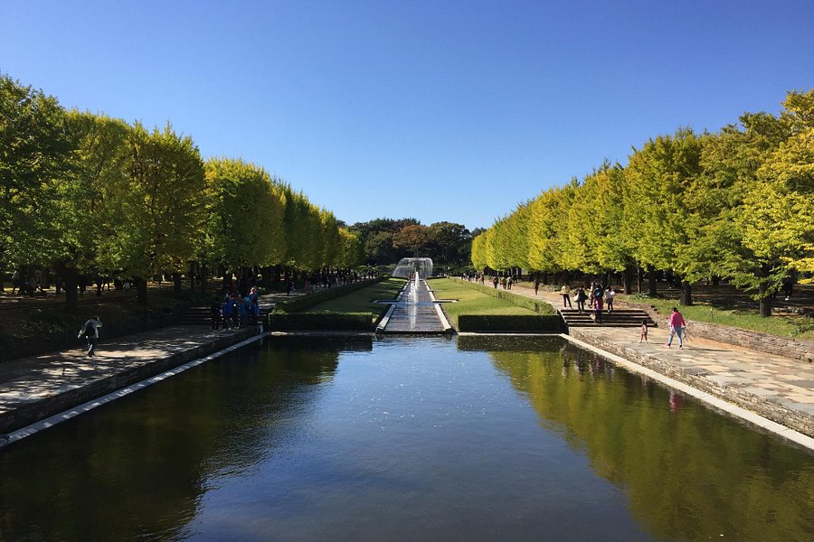 Sephiroth Orion tweet media