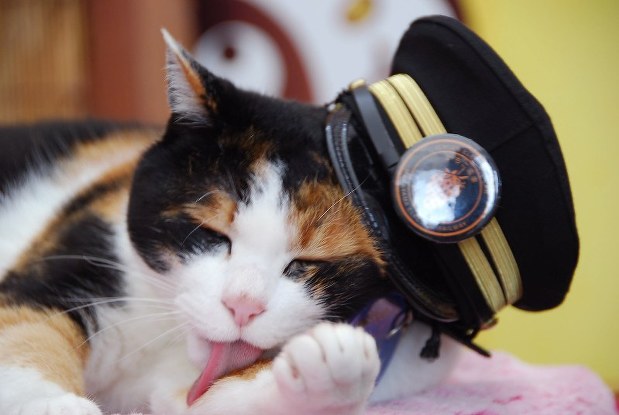 Sephiroth Orion tweet media