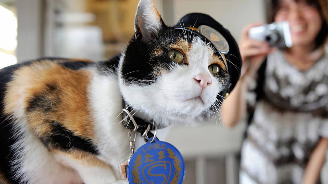 Sephiroth Orion tweet media